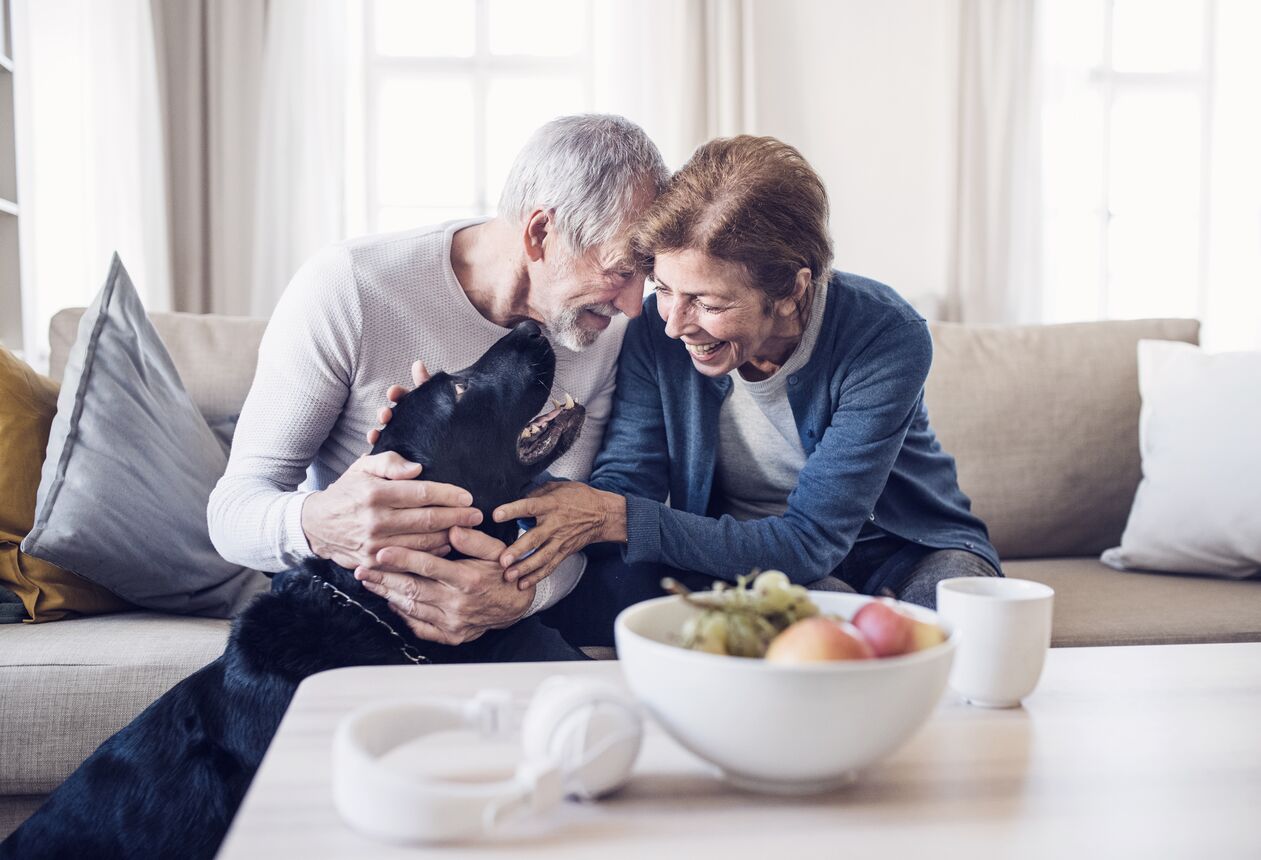 happy-senior-couple-sitting-on-a-sofa-with-their-dog