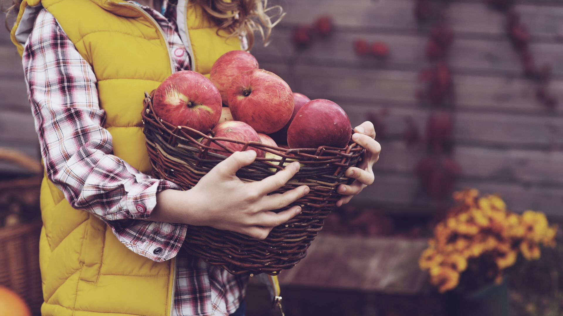 girl holding a basket with apples