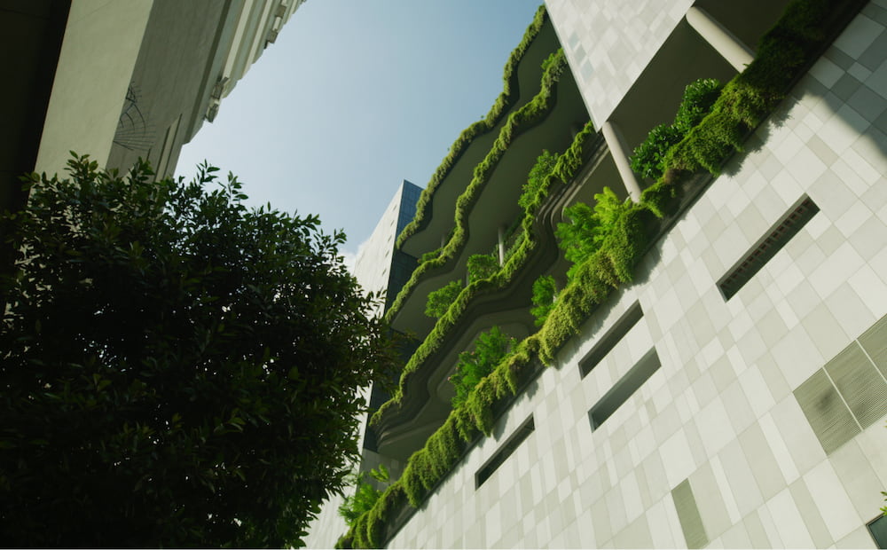 A building that has a bunch of plants growing on it.