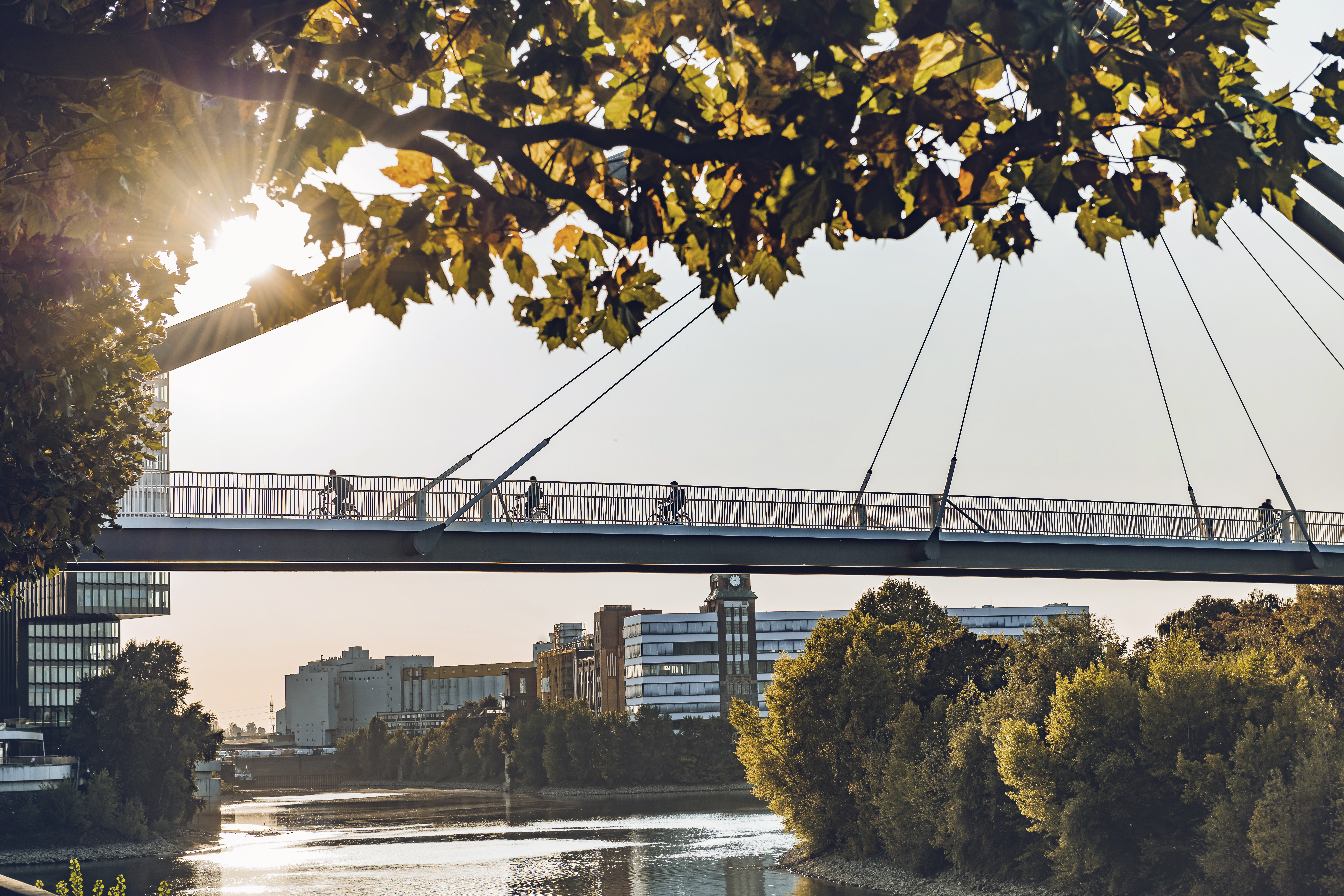 Silhouettes of cyclists and pedestrians on bridge