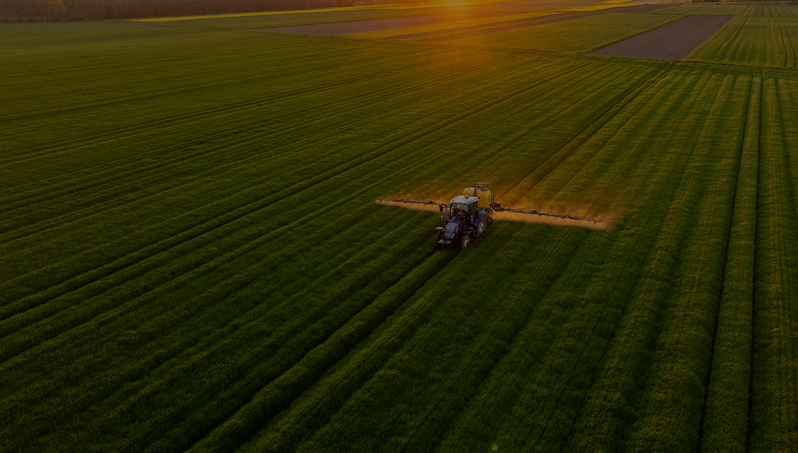 field