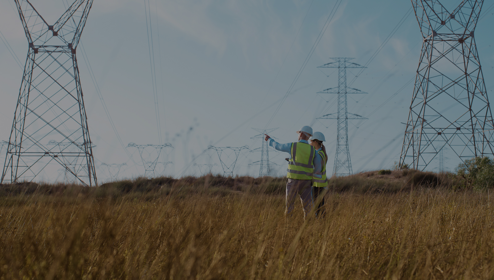 workers in a field