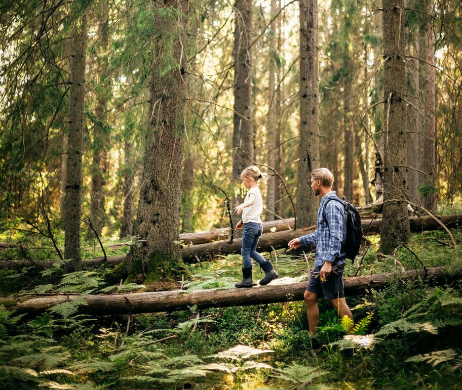 A man with a backpack and a young child walking through a sunlit forest, stepping over fallen logs among tall trees and ferns.