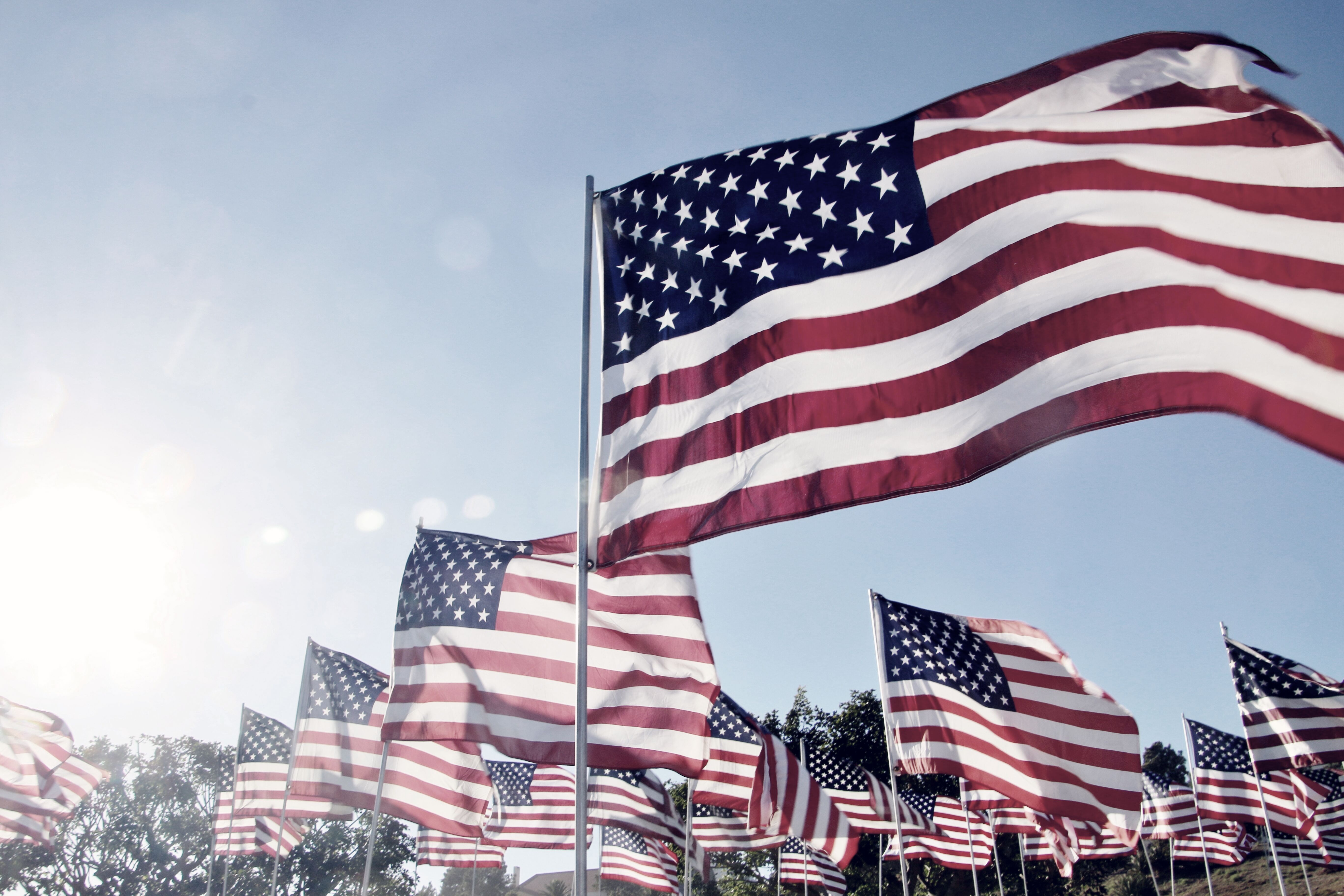 USA_liput_tuulessa