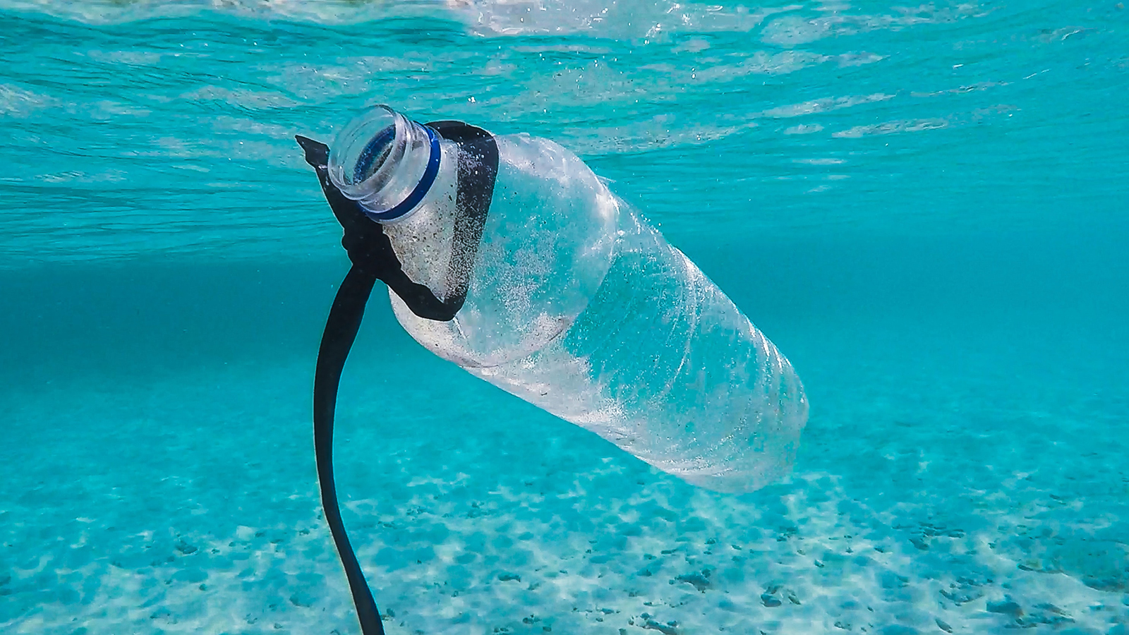 Plastikflaske i havet