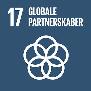 Globale partnerskaber