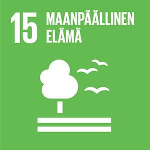 Ei 15