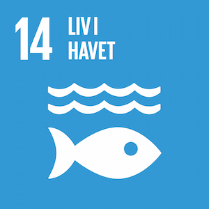 Liv i havet
