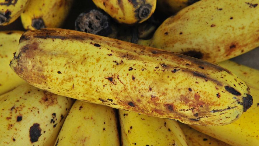 Bananer