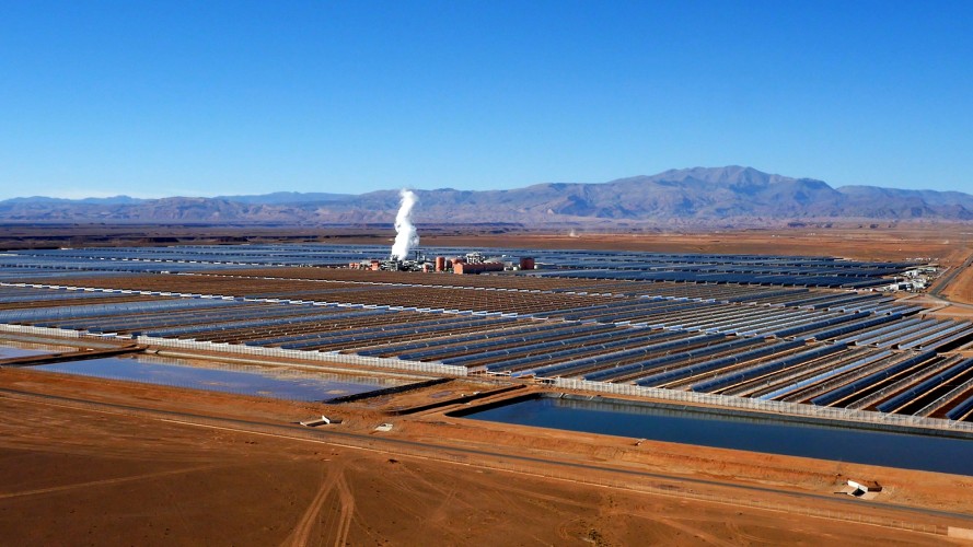 Noor Plant