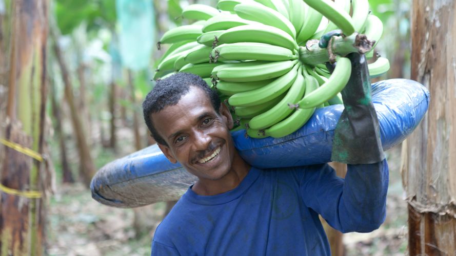 En fair banan