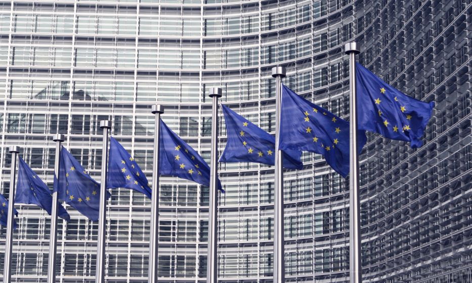 EU flags