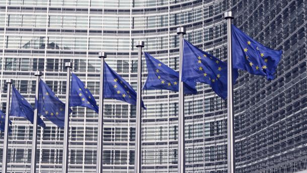 EU flags