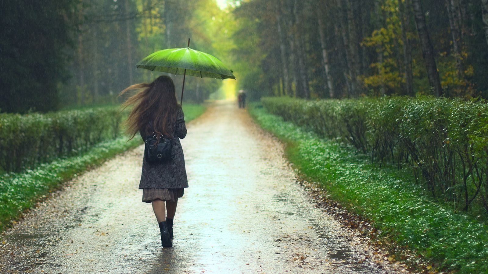 Green umbrella