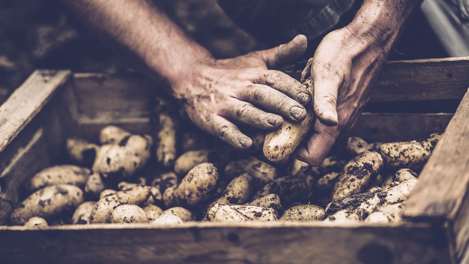 Porteføljepleje_hero