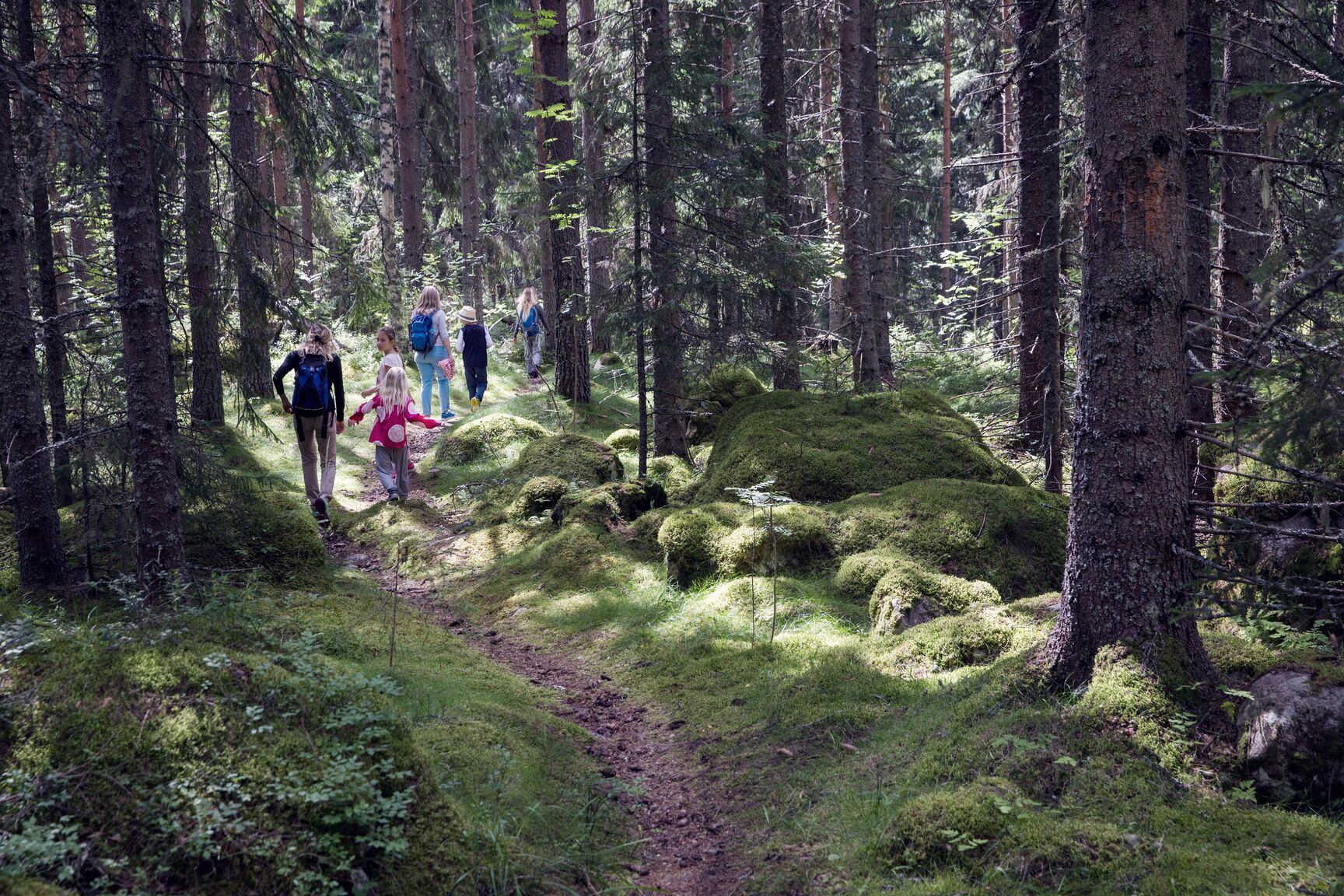 Family in a forest