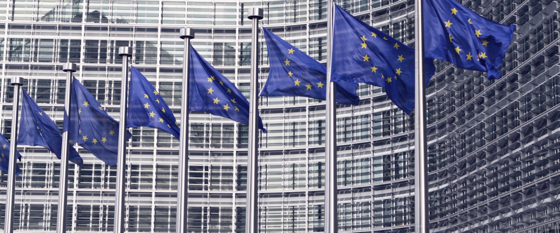 EU flags