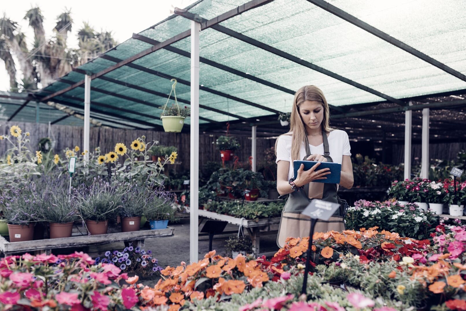 Woman taking care of her flower shop