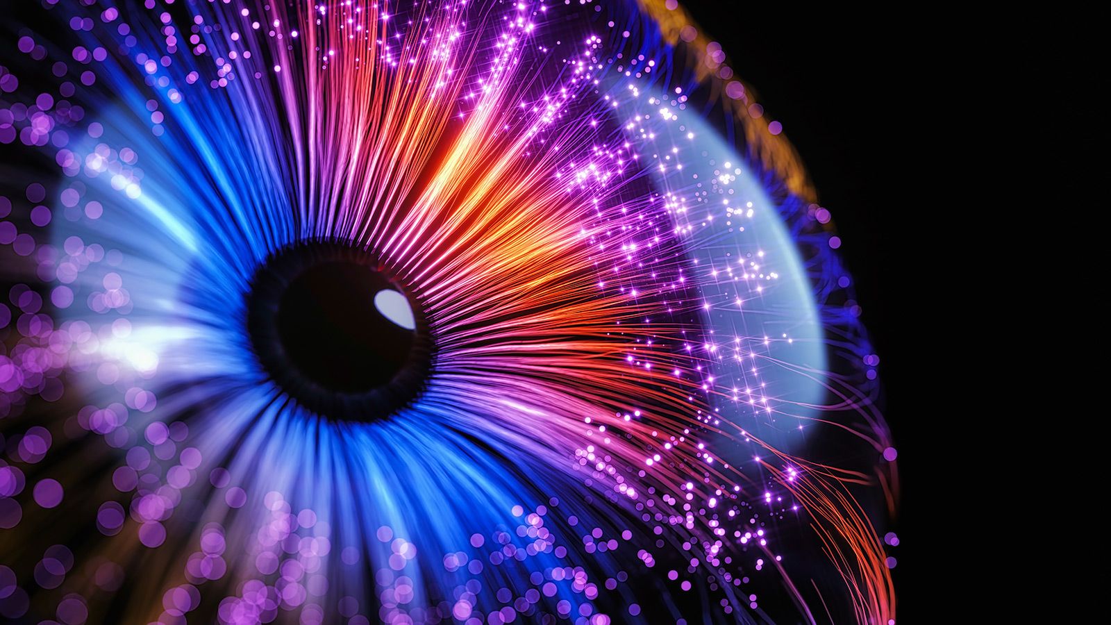 Digital Eye
