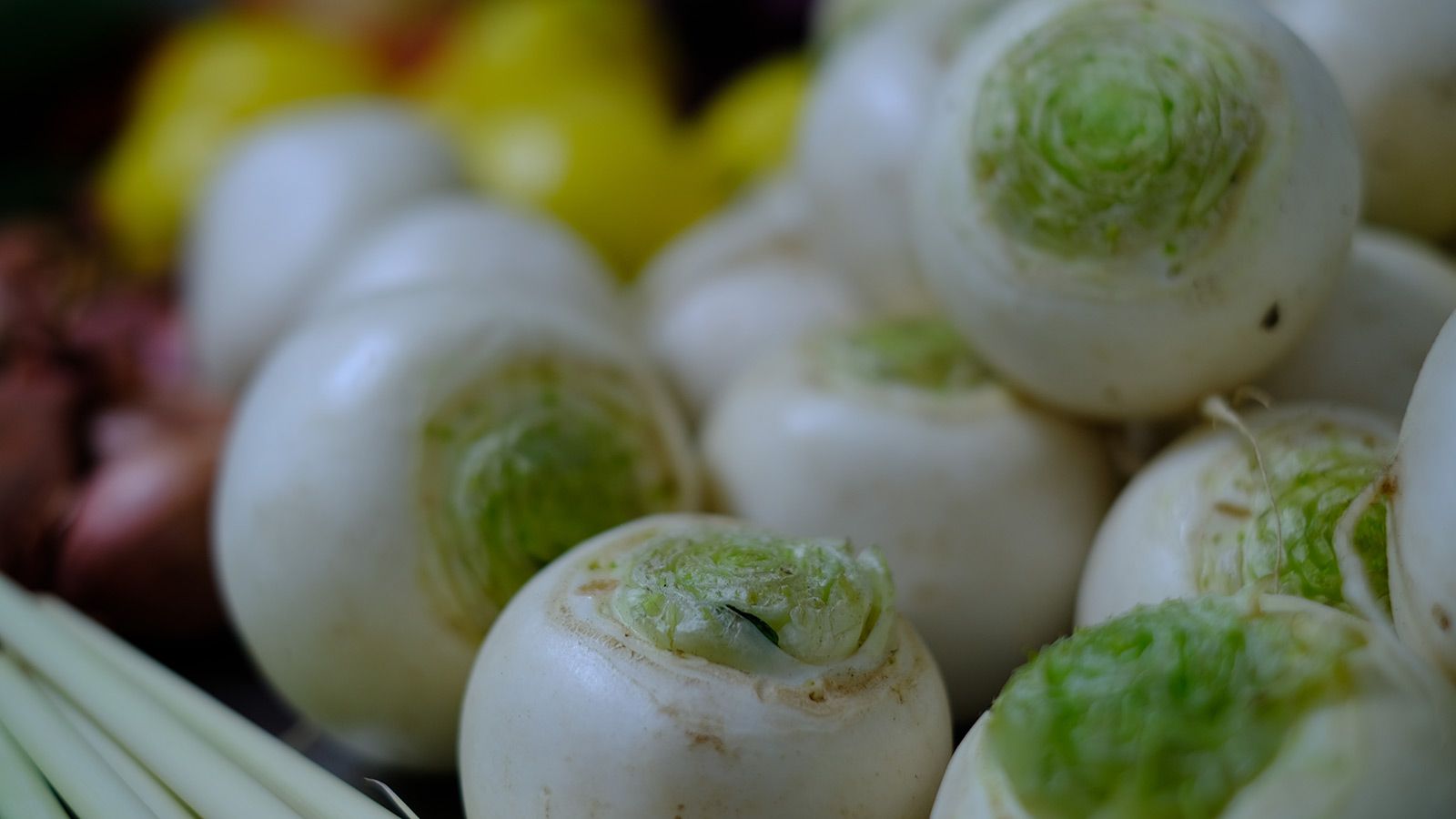 Arctic Young Chef hero