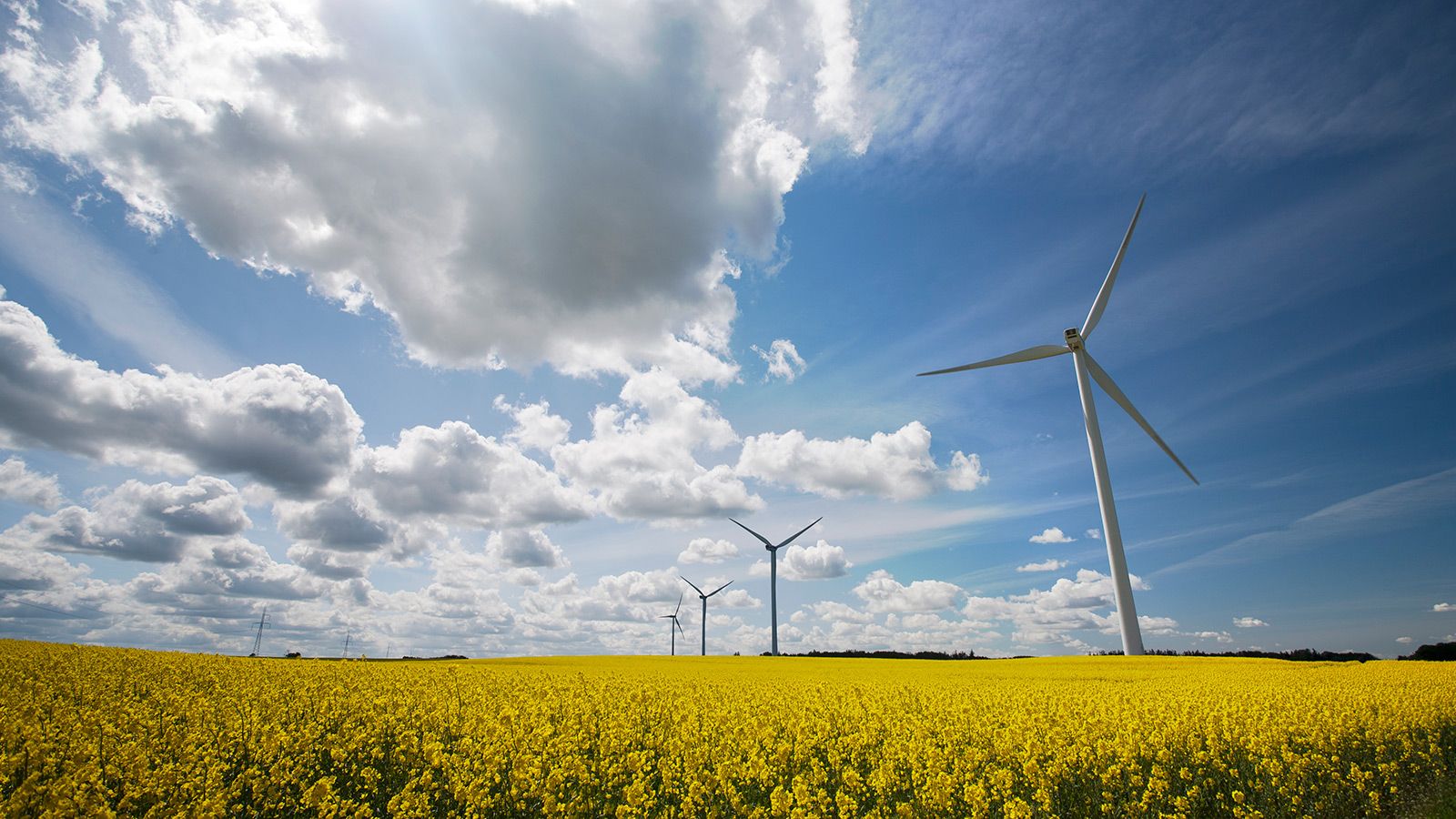 Vindmøller på mark