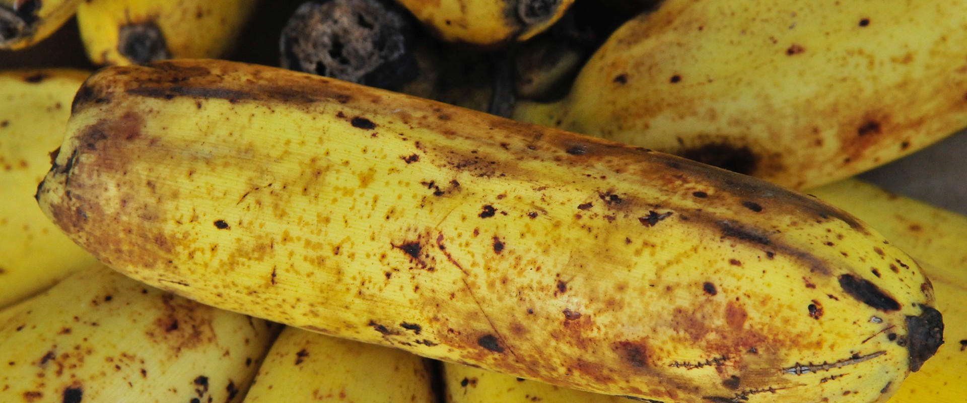 Bananer