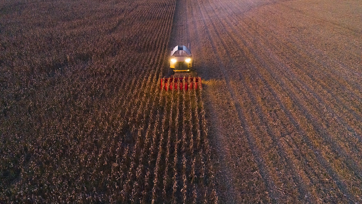 Harvest