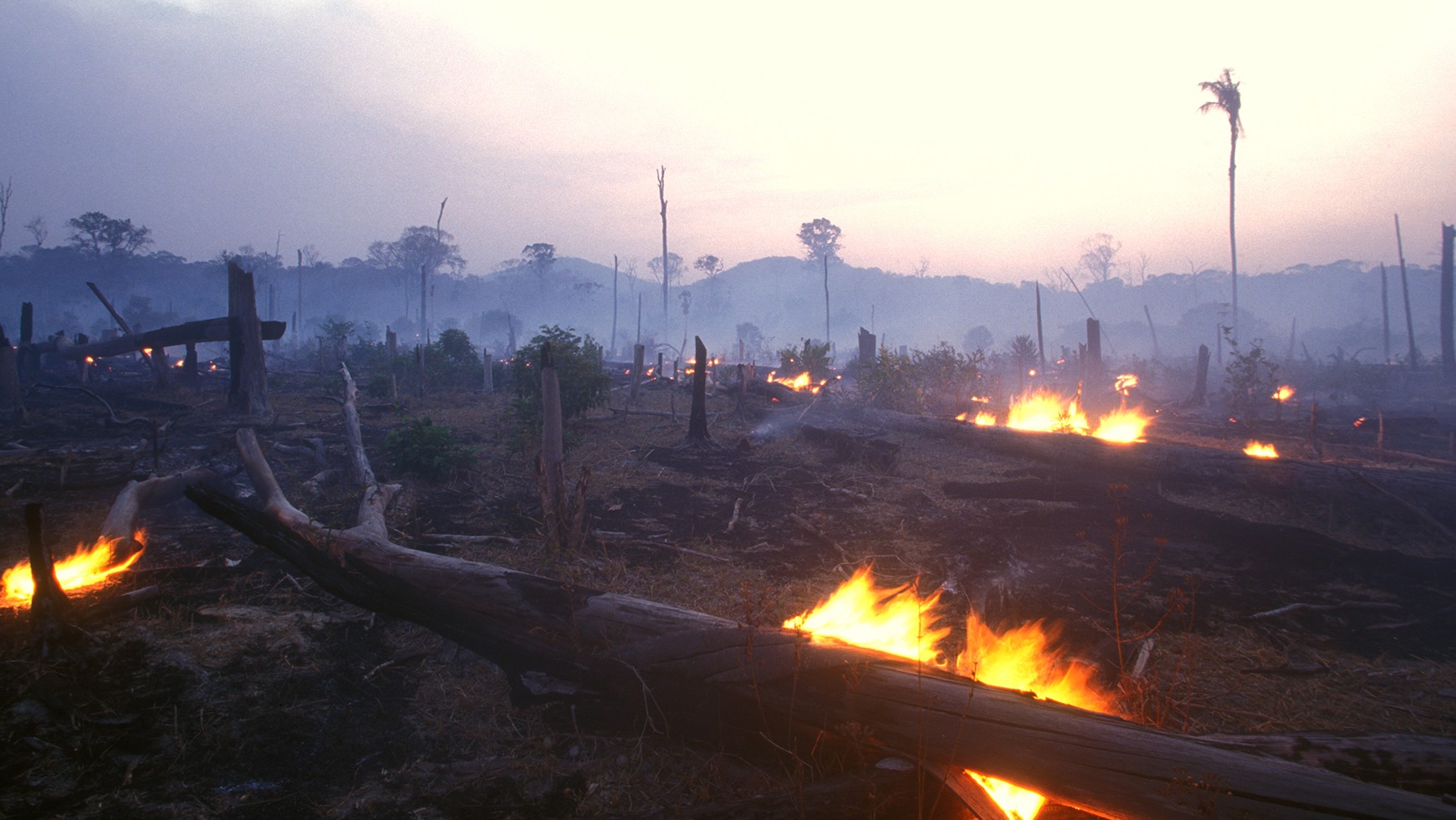 Brazil forest fire