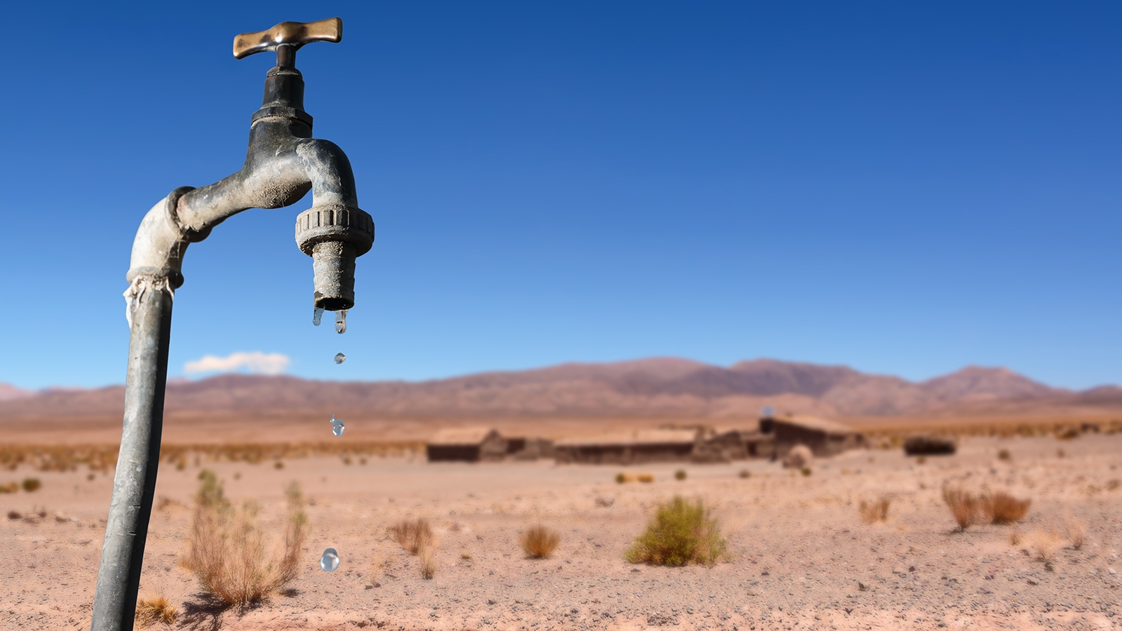 Water