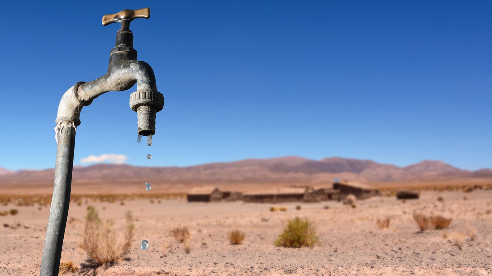 Water