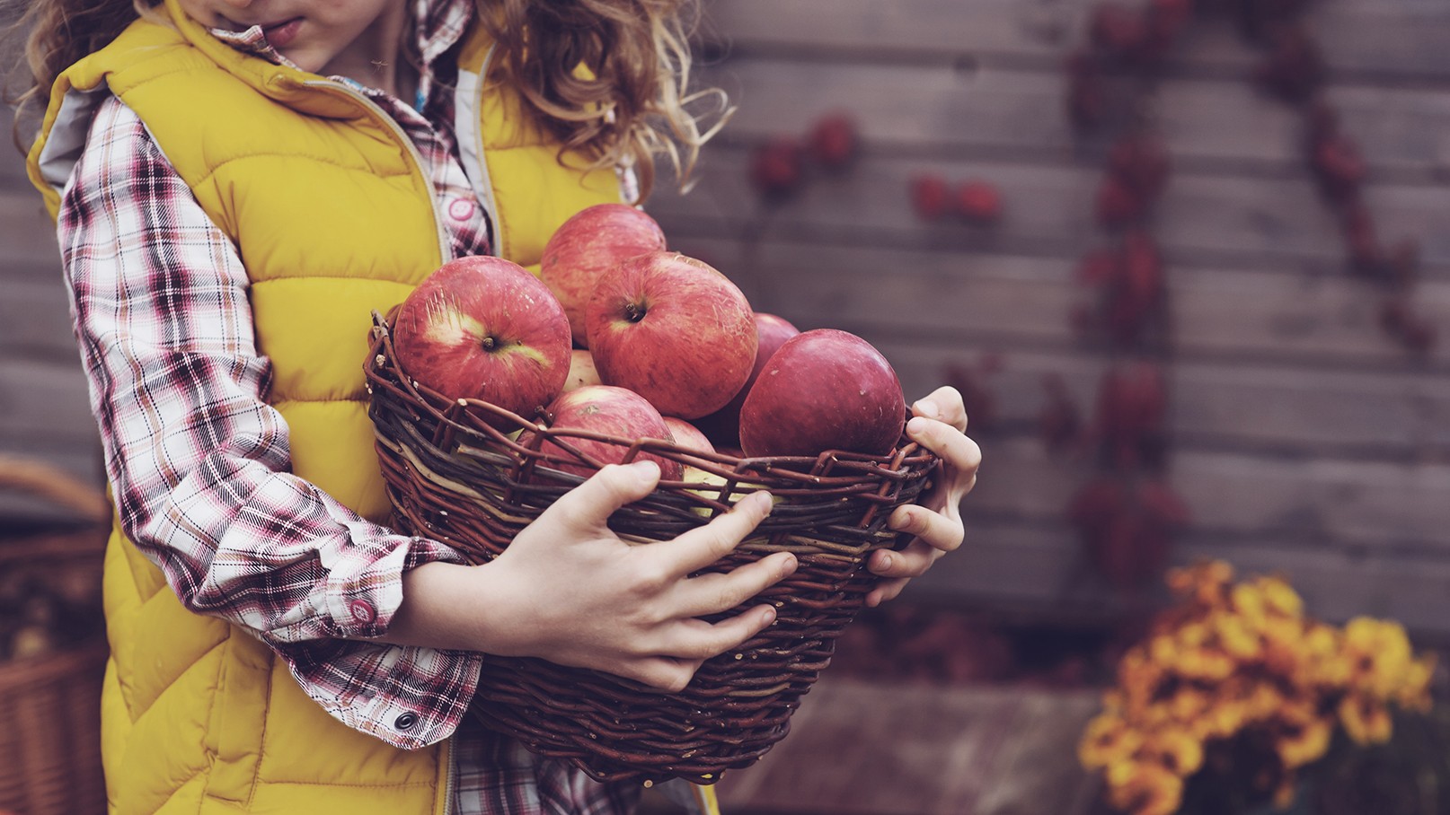 apples