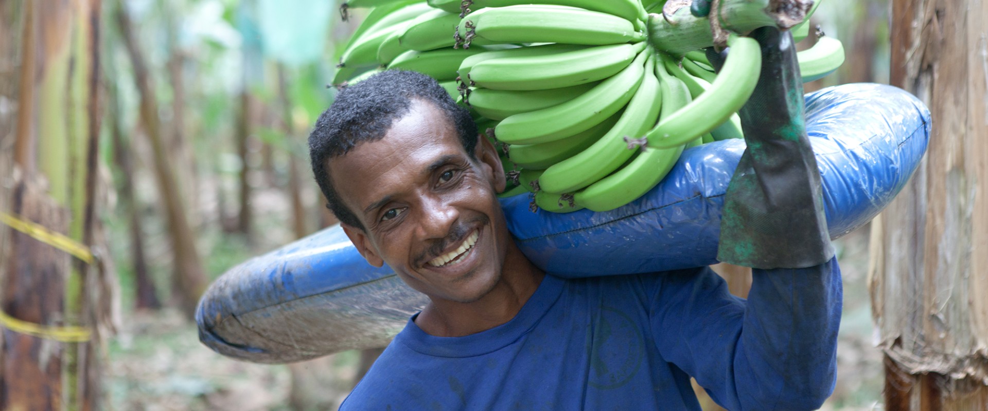 En fair banan